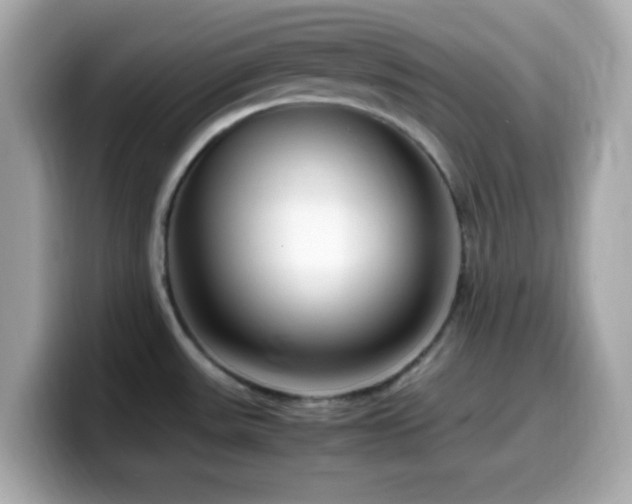 X0000099931531200805231219