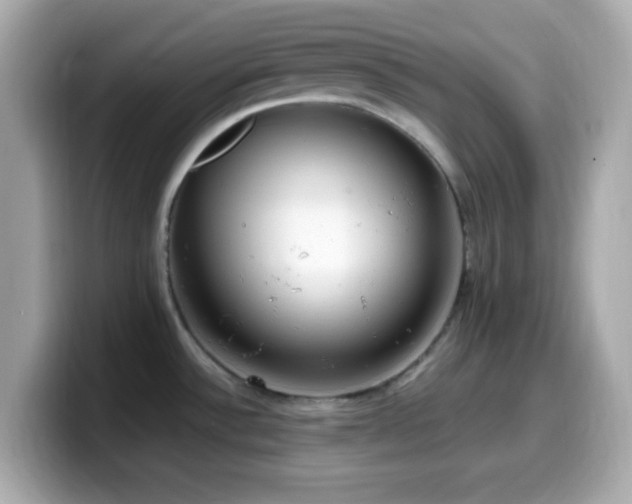 X0000099931532200805231219