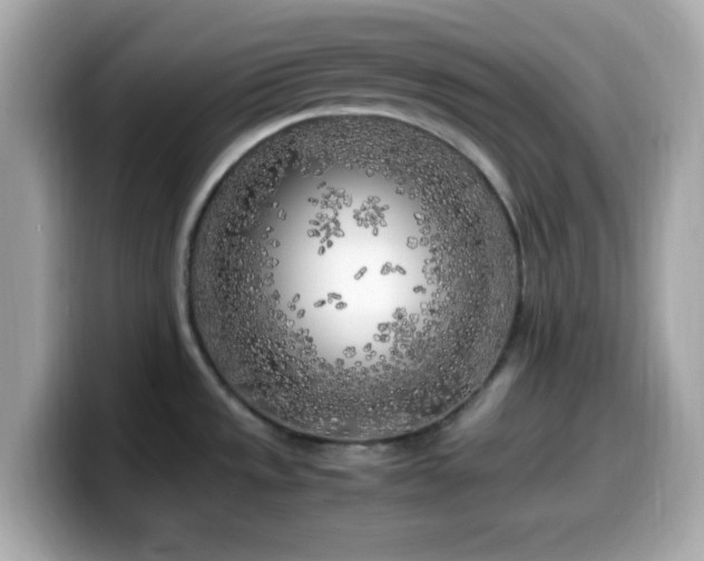X0000099931533200805231219