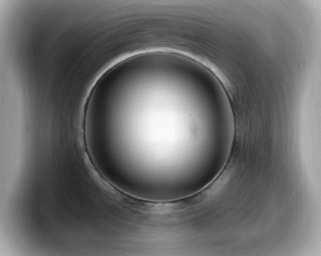X0000099931534200805231219