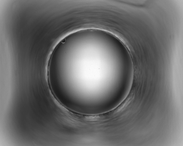X0000099931535200805231219