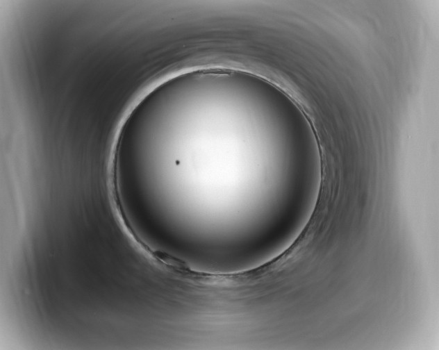 X0000099931536200805231219