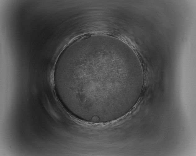 X0000099930002200805301207