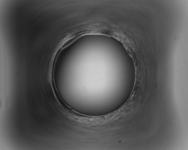 X0000099930003200805301207