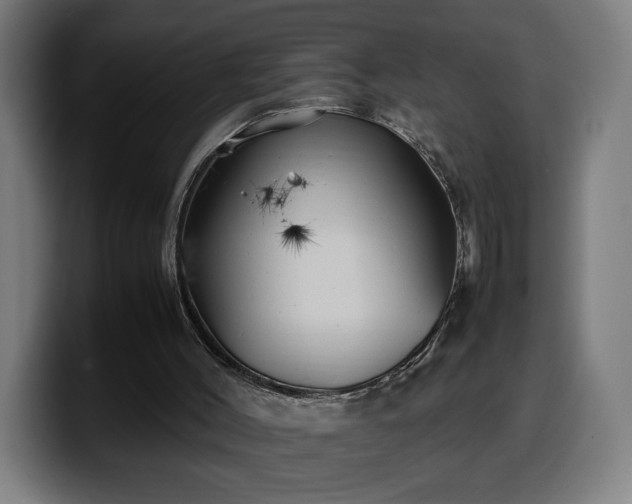 X0000099930004200805301207