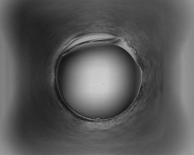 X0000099930005200805301207