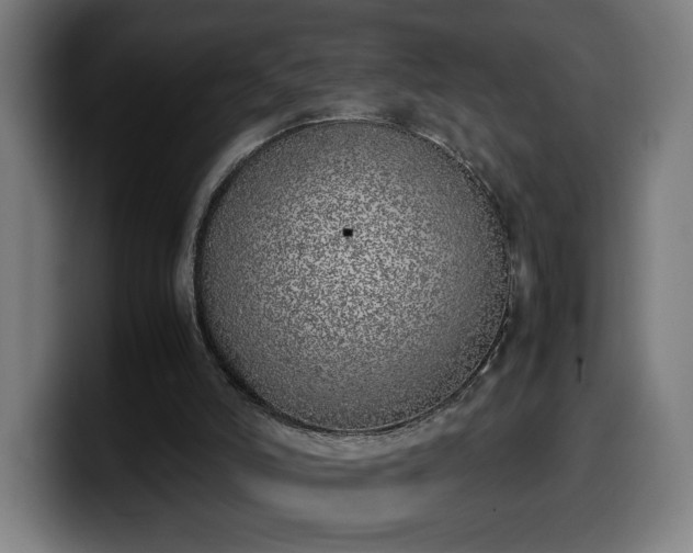 X0000099930006200805301207