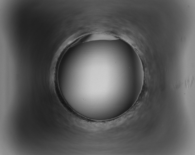 X0000099930007200805301207