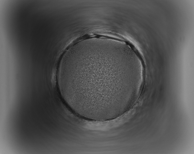 X0000099930009200805301207