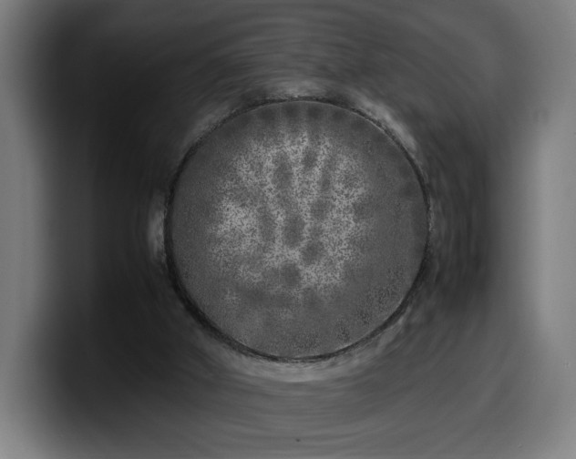 X0000099930010200805301207