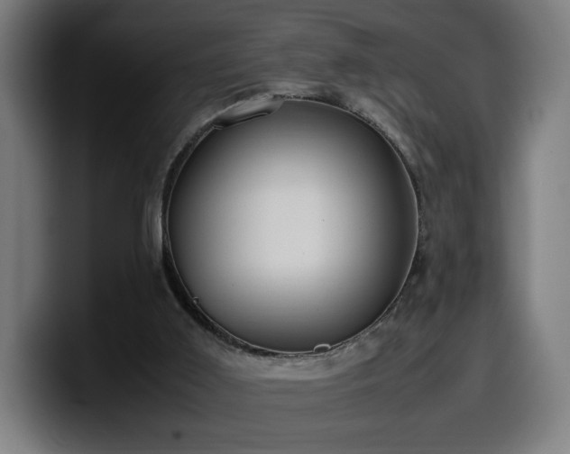 X0000099930011200805301207