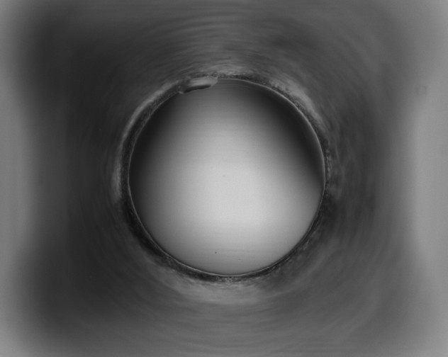 X0000099930012200805301207