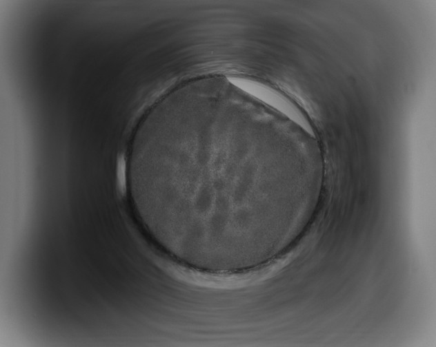 X0000099930014200805301207