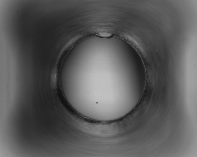 X0000099930016200805301207