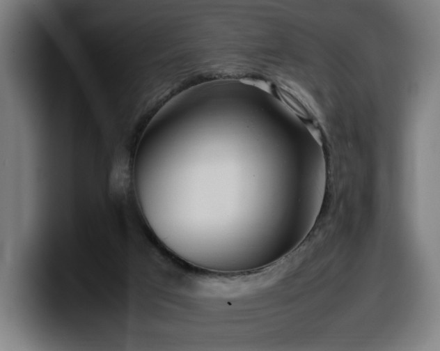 X0000099930017200805301207