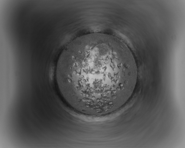 X0000099930018200805301207