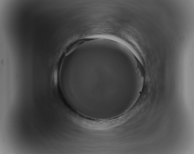 X0000099930019200805301207