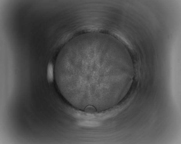 X0000099930022200805301207