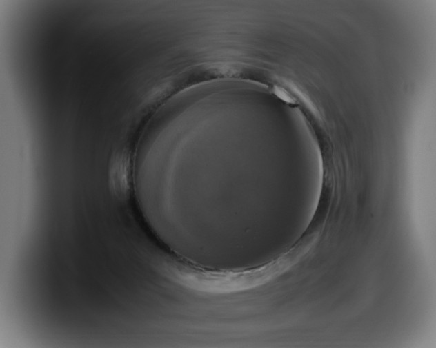 X0000099930023200805301207