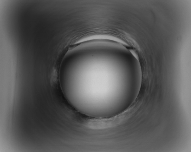 X0000099930025200805301207