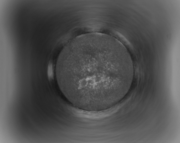 X0000099930026200805301207