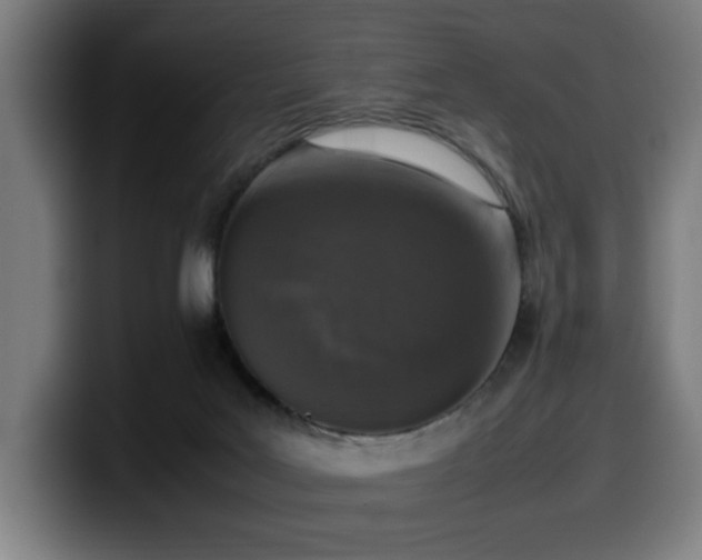 X0000099930027200805301207