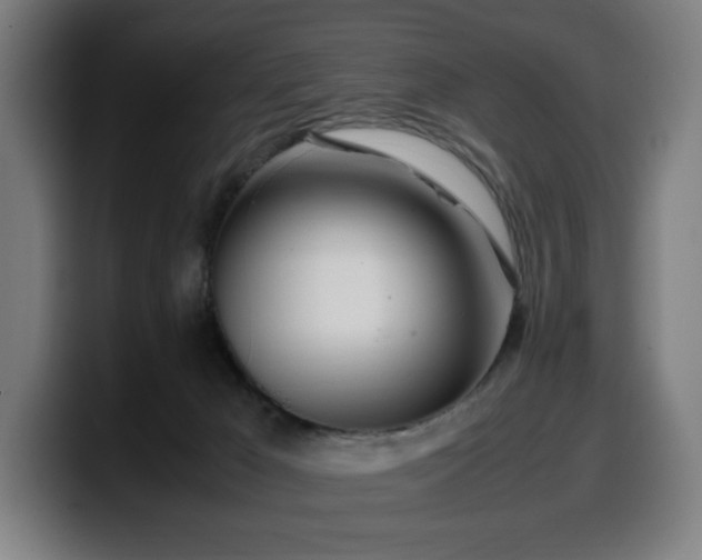 X0000099930029200805301207