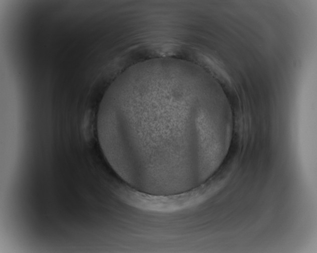 X0000099930030200805301206