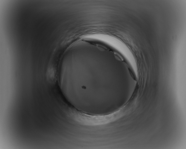 X0000099930031200805301206