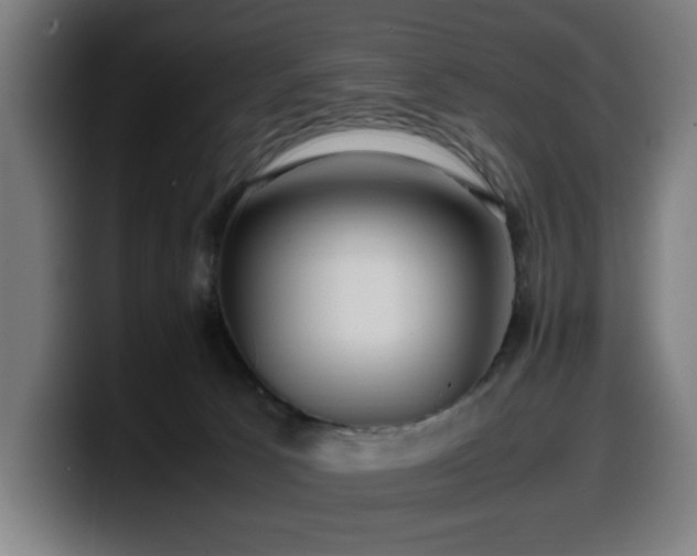 X0000099930033200805301206