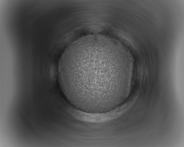 X0000099930034200805301206