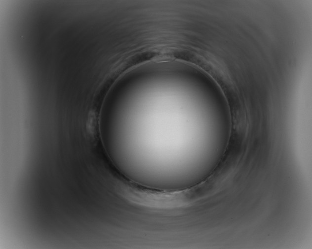 X0000099930036200805301206