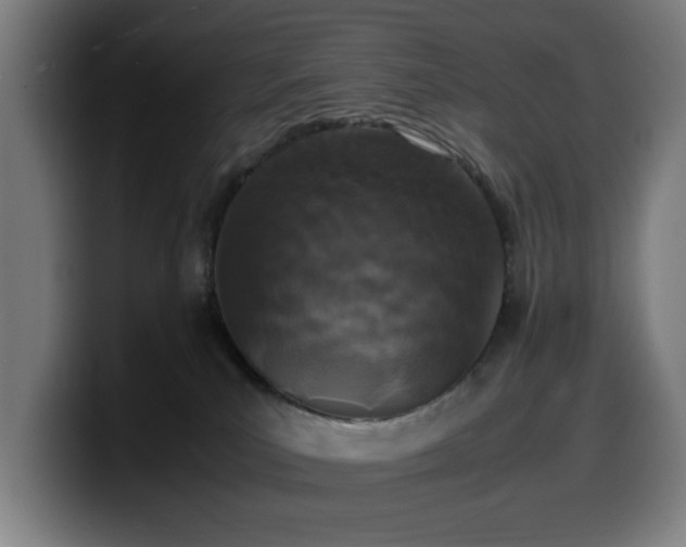 X0000099930039200805301206