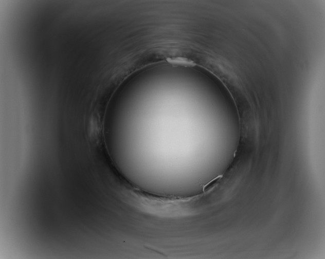 X0000099930040200805301206