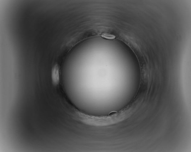 X0000099930042200805301206