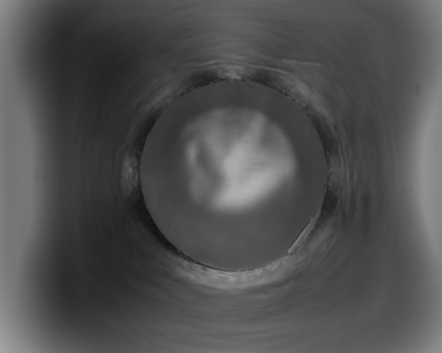 X0000099930043200805301206