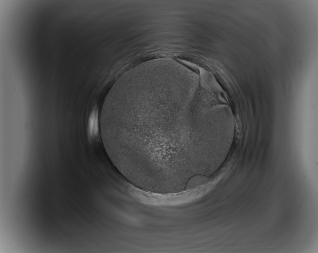 X0000099930046200805301206