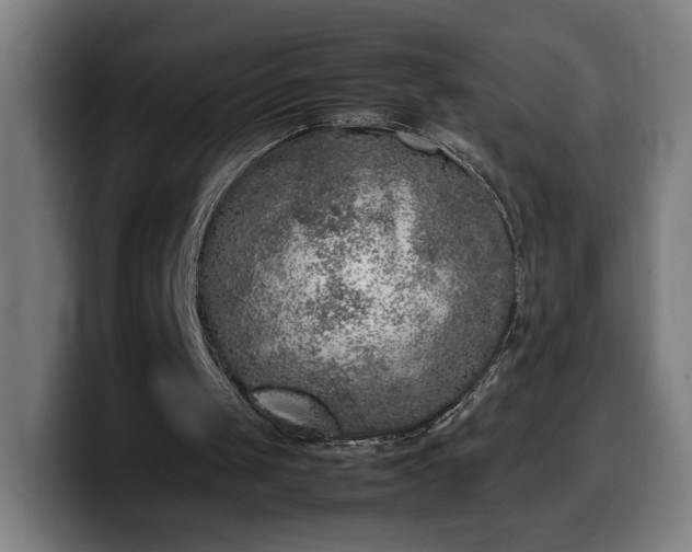 X0000099930049200805301206