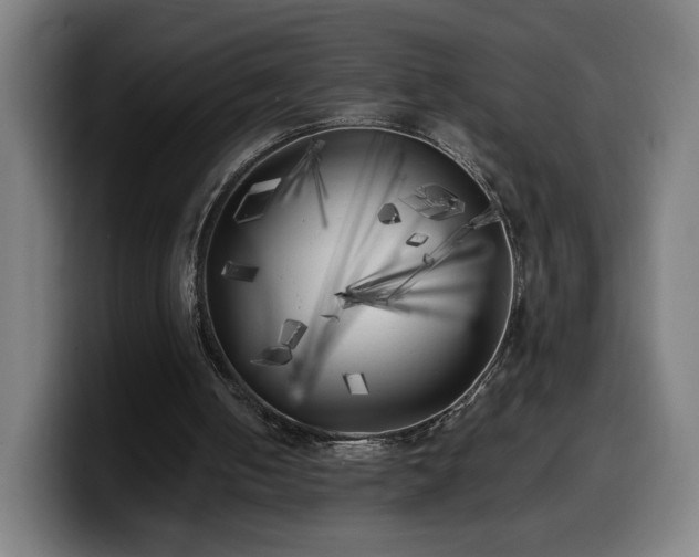 X0000099930050200805301206