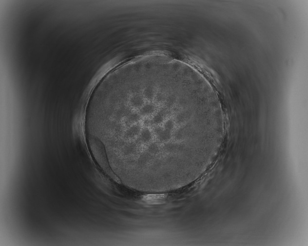 X0000099930051200805301206