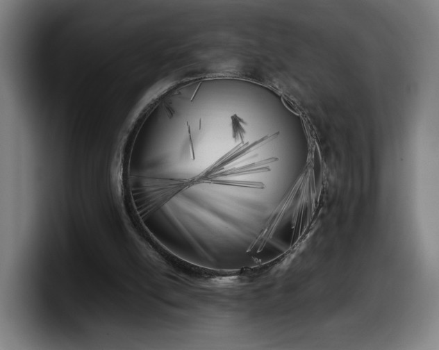 X0000099930054200805301206