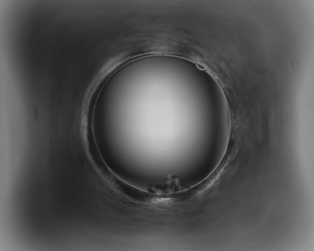 X0000099930055200805301206