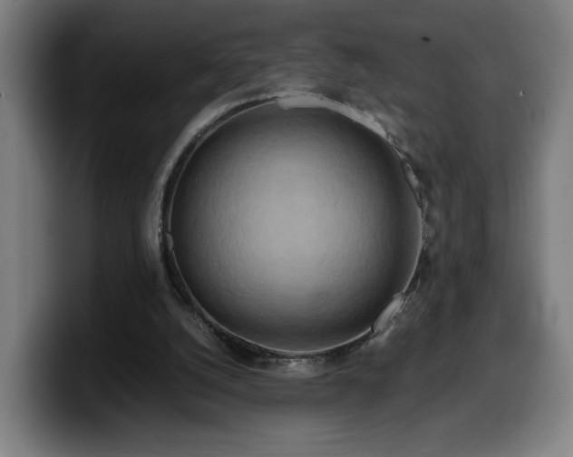 X0000099930056200805301206