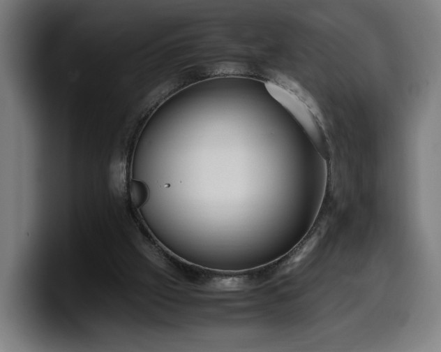 X0000099930057200805301206