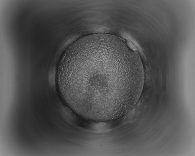 X0000099930058200805301206