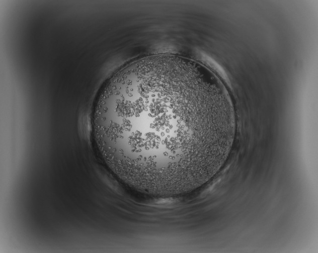 X0000099930059200805301206