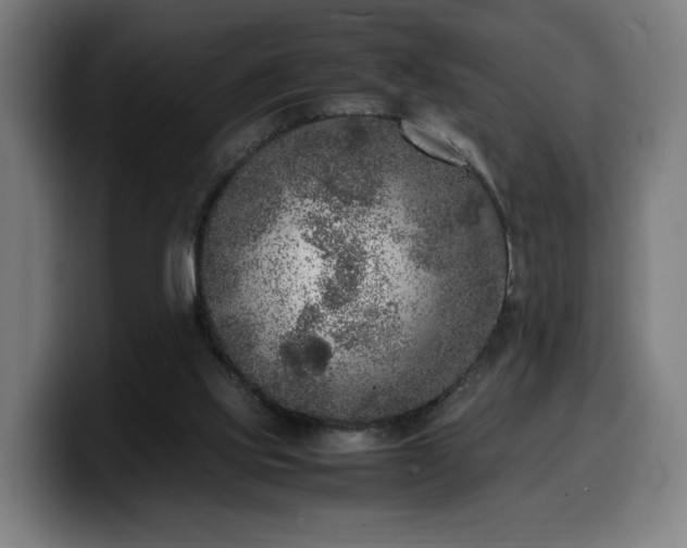 X0000099930061200805301206