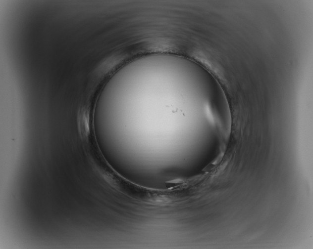 X0000099930062200805301206