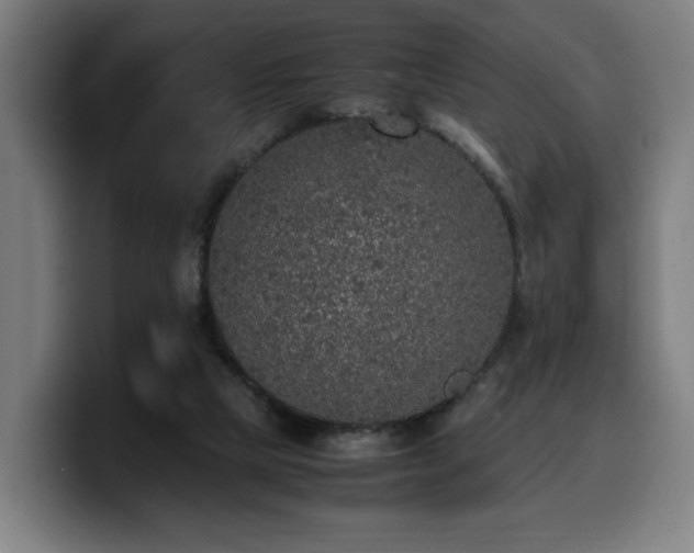 X0000099930065200805301206