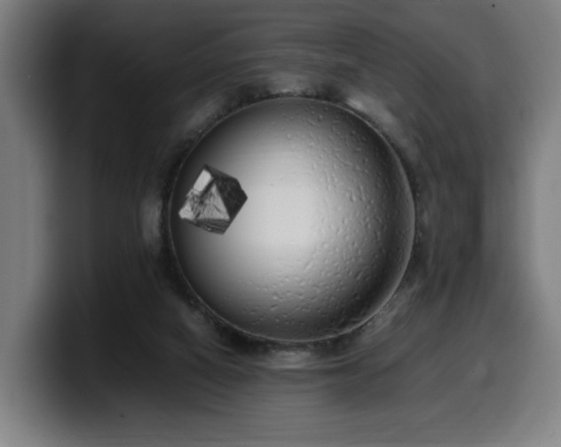 X0000099930066200805301206